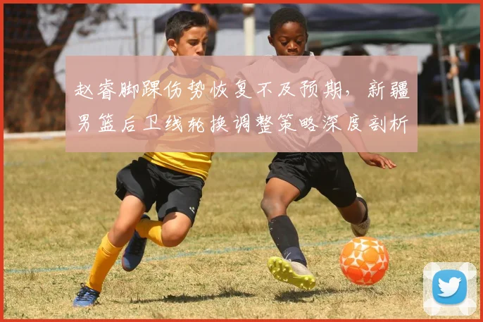 赵睿脚踝伤势恢复不及预期，新疆男篮后卫线轮换调整策略深度剖析